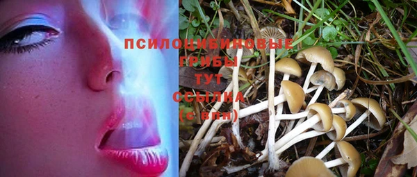 МДМА Медвежьегорск