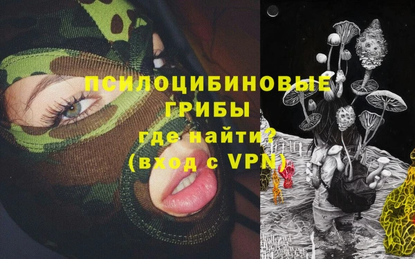 МДМА Медвежьегорск