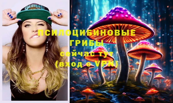 спиды Мегион