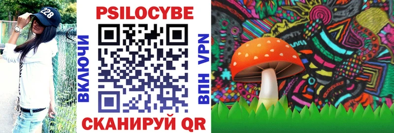 Галлюциногенные грибы Psilocybe  Пласт 